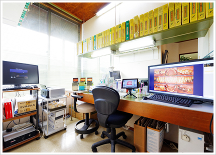 ブラシングコーナー