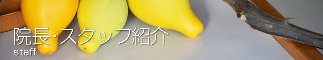 院長・スタッフ紹介