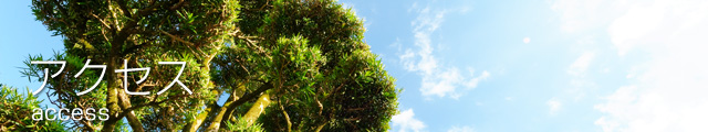 アクセス